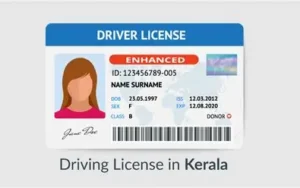 DRIVING LICENCE