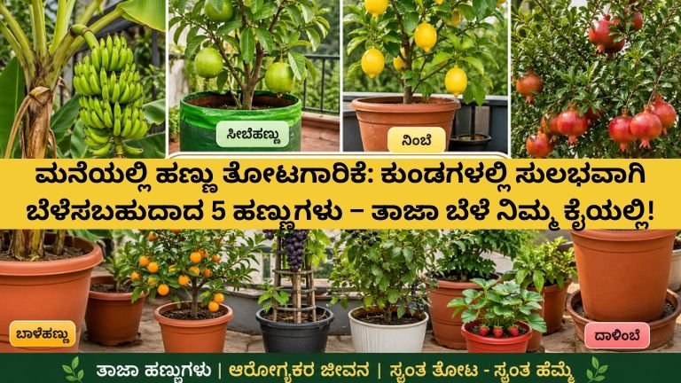 HOME FRUIT GARDENING