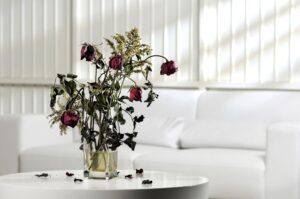 ONAGIDA SHASHI ONAGIDA SHASHI