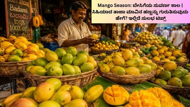 Mango Season